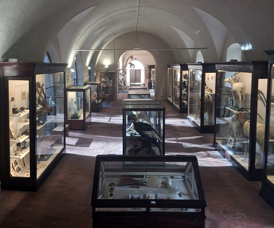Inside the Museum