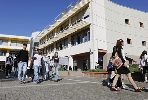 Students in Pisa