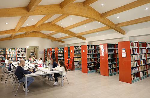 Students in a library