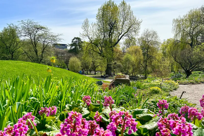 Spring in the Botanical Garden in Oslo