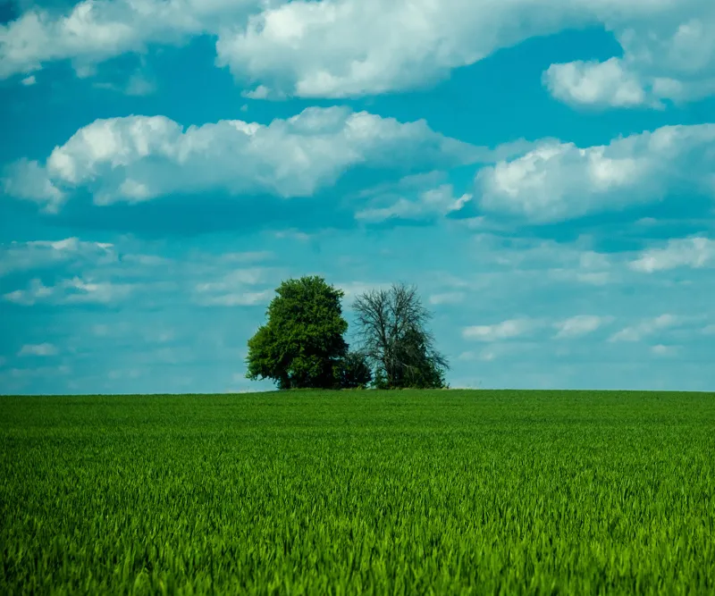 Country landscape