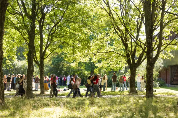Students under the trees at the university campus in Oslo