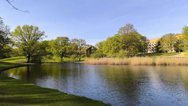 Nature at Aarhus university