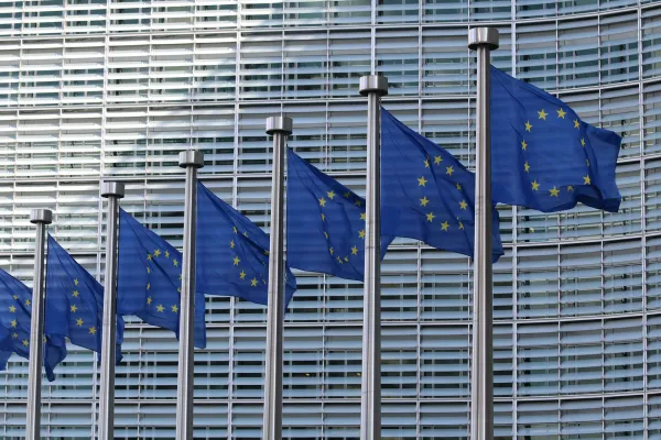 EU flags by Guillaume Perigois on Unsplash