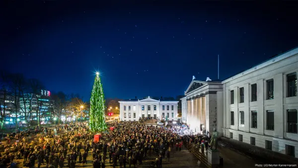 Christmas tree at the University Square in Oslo