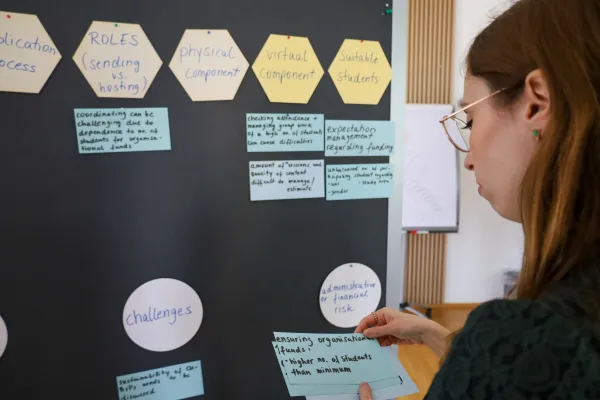 Coloured cards being pinned to a pin board