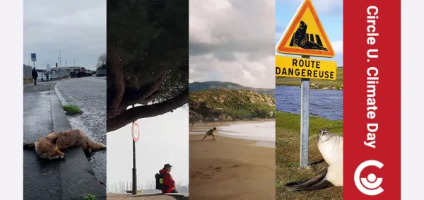 Online exhibition on climate change