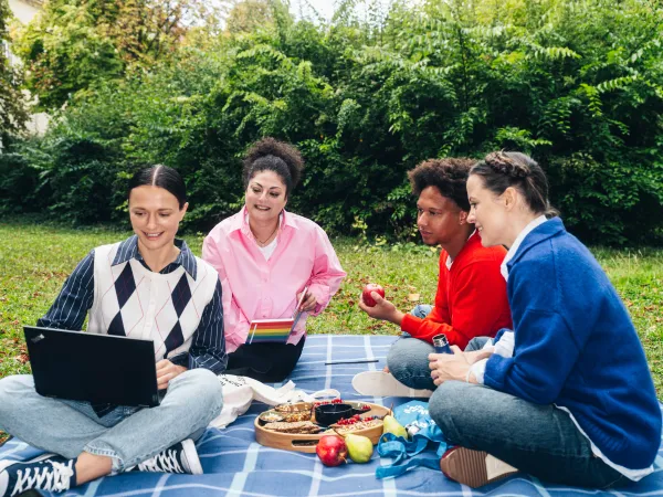 A group of Students sitting in a park looking at a Laptop