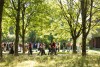 Students under the trees at the university campus in Oslo