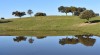 Silhouette of green trees against a clear blue sky with a calm lake in front