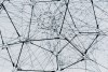 Health Economics Circle U Network  - HECUN