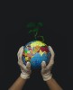 Consumption Reduction to Induce Social and Environmental Sustainability